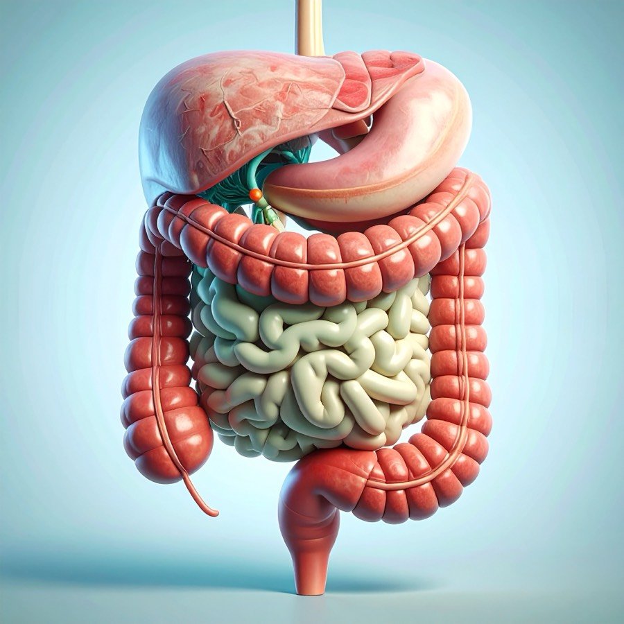 Gastroenterology doctors on MediConsult